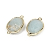 Natural Amazonite Faceted Connector Charms G-K347-11G-18-2