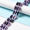 Natural Lepidolite/Purple Mica Stone Beads Strands G-B028-A06-2