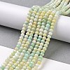 Faceted Electroplated Glass Beads Strands GLAA-C023-02-C14-3