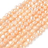 Natural Cultured Freshwater Pearl Beads Strands PEAR-C004-21F-2