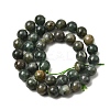Natural Green Apatite Beads Strands G-K350-C04-10mm-3