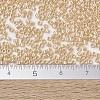 MIYUKI Delica Beads X-SEED-J020-DB1561-4