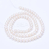 Natural Cultured Freshwater Pearl Beads Strands PEAR-R063-09-2