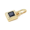 Brass Pave Cubic Zirconia Pendants LS-KK-K368-13G-05-2