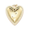 Brass Micro Pave Cubic Zirconia Pendants KK-A161-04G-2