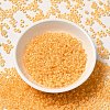 12/0 Transparent Glass Seed Beads SEED-F003-03C-01-2