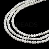 Natural Trochus Shell Beads Strands BSHE-G036-08A-01-3