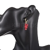 2 Pairs Zinc Alloy Leverback Earrings EJEW-JE06911-5
