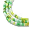 Handmade Czech Lampwork Beads Strands LAMP-L078-008A-3