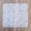 DIY Pendant Silicone Molds SIMO-P009-D02-4