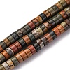 Natural Polychrome Jasper/Picasso Stone/Picasso Jasper Beads Strands G-Z006-C42-2