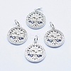 Brass Micro Pave Clear Cubic Zirconia Charms ZIRC-J040-10P-NR-1