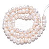 Natural Cultured Freshwater Pearl Beads Strands LS-PEAR-N013-04E-2