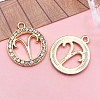 Zinc Alloy Crystal Rhinestone Pendants WGC2D94-01-1