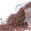 TOHO Round Seed Beads SEED-JPTR15-0746-1