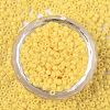 Baking Paint Glass Seed Beads X-SEED-S042-05A-06-2