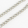 304 Stainless Steel Curb Chains CHS-R005-03-100m-1