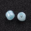 6/0 Glass Seed Beads SEED-US0003-4mm-143-2