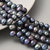 Dyed Natural Cultured Freshwater Pearl Beads Strands PEAR-A006-29A-X-1