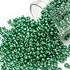 8/0 Glass Seed Beads X-SEED-A017-3mm-1114-1