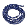 Natural Sodalite Beads Strands G-H042-B08-01-3