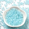 Glass Seed Beads SEED-M011-02A-06-2