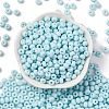 Baking Paint Glass Seed Beads SEED-C003-02E-2