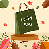 Lucky Bag DIY-LUCKYBAY-69-1