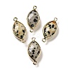 Natural Dalmatian Jasper Faceted Connector Charms G-K347-03G-12-1