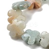 Natural Flower Amazonite Beads Strands G-F769-F01-01-4