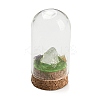 Natural Quartz Crystal Nuggets Display Decoration with Glass Dome Cloche Cover DJEW-B009-03B-1