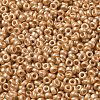 Baking Paint Glass Seed Beads SEED-P006-03A-24-3