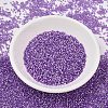MIYUKI Delica Beads X-SEED-J020-DB1343-2