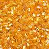 Two Cut Glass Seed Beads CSDB162C-1