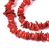 Natural Freshwater Shell Beads Strands SHEL-S278-071-4