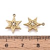 304 Stainless Steel Micro Pave Cubic Zirconia Charms STAS-N115-53G-3