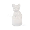 Natural Selenite Figurines DJEW-Q006-01B-1