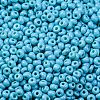 8/0 Baking Paint Glass Seed Beads X1-SEED-M012-02A-46-3