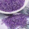 MIYUKI Delica Beads SEED-MY11-DB1343-1