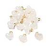 Natural Agate Heart Pendant Decorations G-U025-01G-1