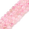 Dyed Natural White Jade Beads Strands G-T138-6mm-210-20-4