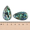 Natural Paua Shell Pendants SSHEL-I026-08B-3