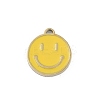 304 Stainless Steel Enamel Charms STAS-I325-063G-03-1