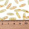Picasso Transparent Glass Seed Beads SEED-N012-11F-4