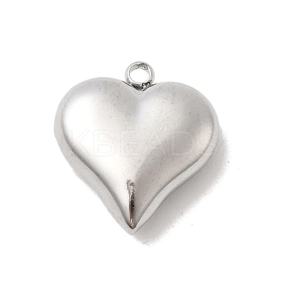 304 Stainless Steel Pendants STAS-B113-04C-P-1