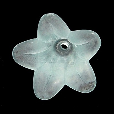 Light Cyan Frosted Transparent Acrylic Flower Beads X-PLF018-13-1