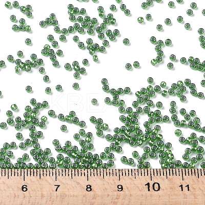 TOHO Round Seed Beads SEED-JPTR11-1006-1