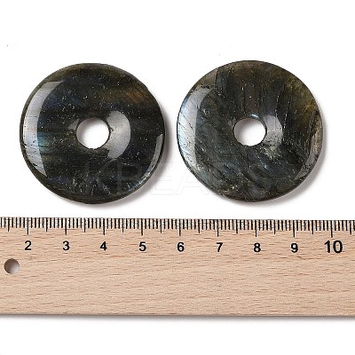 Natural Labradorite Pendants G-F524-H09-1