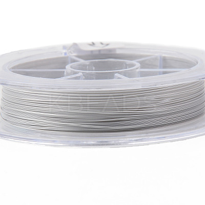 Tiger Tail Beading Wire TWIR-R007-0.3mm-02-1