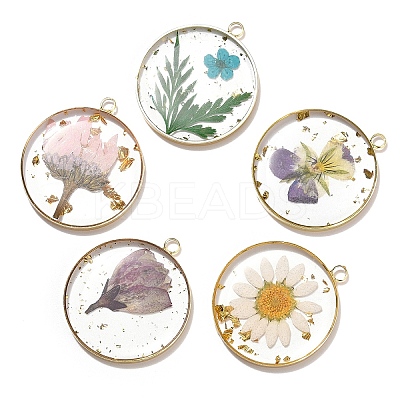 5Pcs 5 Styles Transparent Clear Epoxy Resin Pendants RESI-YW0004-21-1